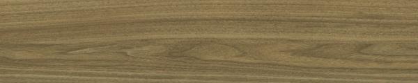 Arborite W2001 Natural Artisan Walnut Edgebanding Match