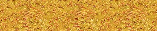 Abet Laminati 5748 Derby Yellow Edgebanding Crossgrain Match