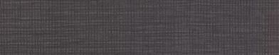 Pionite AG031 First N Main Edgebanding Match