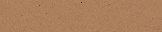 Formica 09684 Natural Recycled Kraft Edgebanding Match