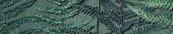 Uniboard V10 Fern Edgebanding Crossgrain Match