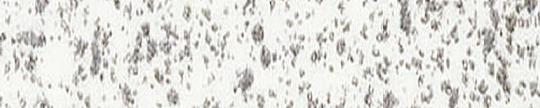 Formica F1330 Calcium New Edgebanding Crossgrain Match