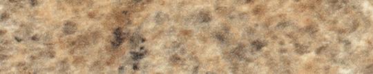 Formica 06227 Amber Kashmire Edgebanding Crossgrain Match