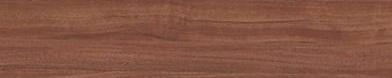 Panolam W39W Vantage Point Walnut Edgebanding Match