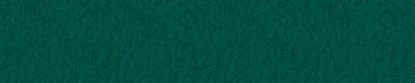 Wilsonart Y0544 Green Cracked Ice Edgebanding Match