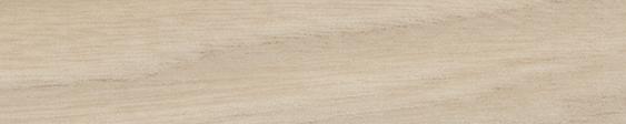 Northern Contours 2231 Swiss Elm Matte Edgebanding Match