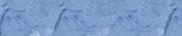LIRI WZ7 Forgetmenot Onyx Edgebanding Crossgrain Match