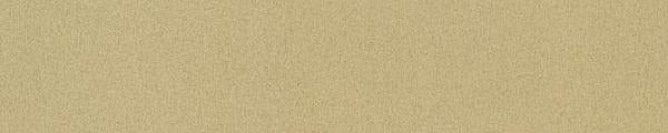 Pionite AV110,FA803 Tropical Getaway Edgebanding Crossgrain Match