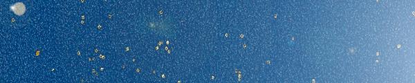 LIRI YA5 Lagoon Edgebanding Crossgrain Match