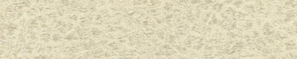 Wilsonart 4869 Western White Edgebanding Crossgrain Match