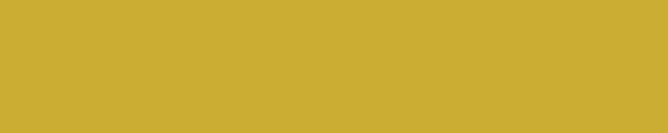 Arpa 0679 Giallo Mostarda Edgebanding Match