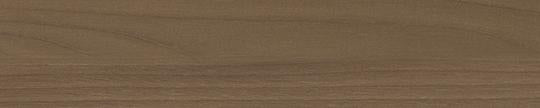 Formica 05795 Camel Elm Edgebanding Crossgrain Match