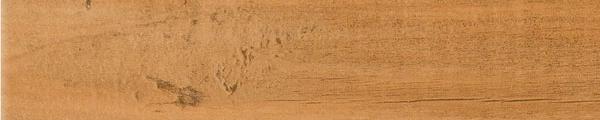 Decotone TC-2815 Geppetto Oak Edgebanding Match