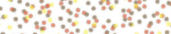 Wilsonart Y0039 Autumn Lights Daisy Edgebanding Crossgrain Match