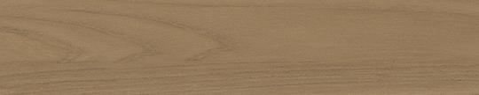 Formica 05794 Beige Elm Edgebanding Match