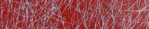 Arpa 9215 Alu Birn Edgebanding Crossgrain Match