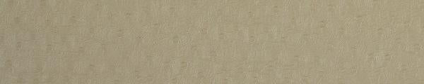 Dackor A010 Leather Taupe Ostrich Edgebanding Match
