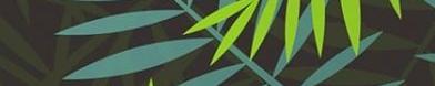 Panolam DG0020 Maui Edgebanding Crossgrain Match