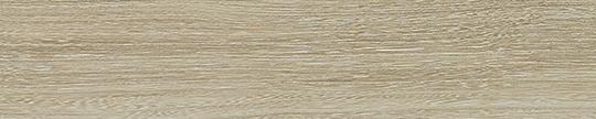 Formica 6404 Bleached Elm Edgebanding Match