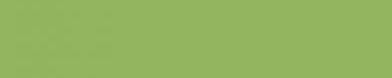 Panolam S55D Limeade Edgebanding Crossgrain Match