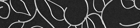 Lab Designs PE027 Black Pearl Edgebanding Crossgrain Match