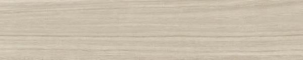 Parchment Oak
