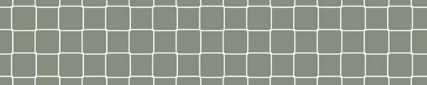 Net Agave