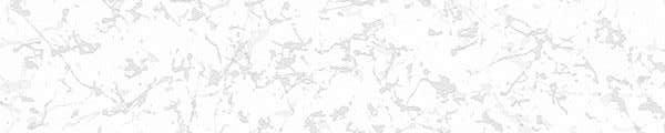 Walkprint 577