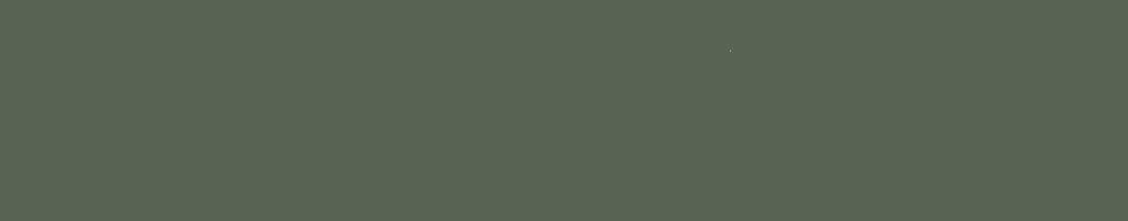 Feral Fern