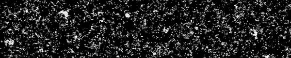 Ebony Star