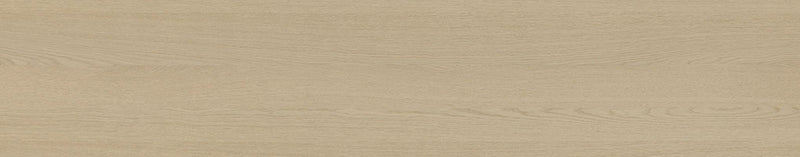Desert Oak