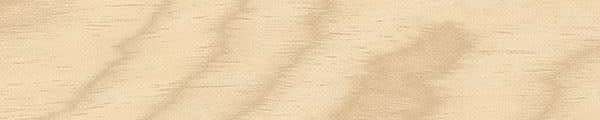 White Birch