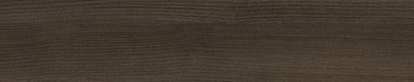 Arborite W460 Winter Elm Edgebanding Match