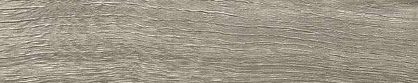 Quercia Grigia