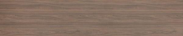 Swedish Elm