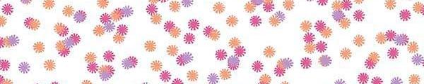 Tropical Daisy