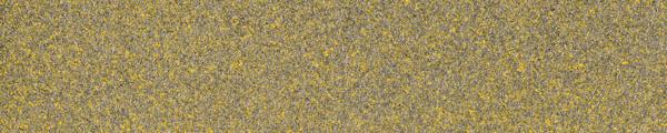 Lucida Golden Frost