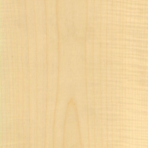 Curly Maple Figured Medium Frama-Tech Edge Banding