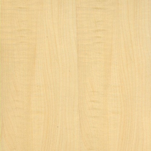 Eurpean Sycamore Flat Cut Frama-Tech Edge Banding