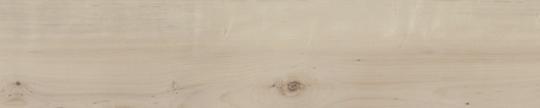 White Knotty Maple