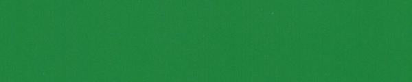 Dackor S043 Solid Neon Green Edgebanding Match