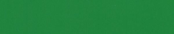 Solid Neon Green
