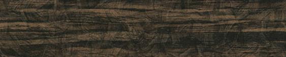 Walnut Bark