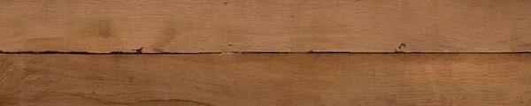 Texas Mesquite