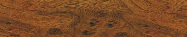 Tan Burl