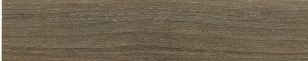 Winter Walnut