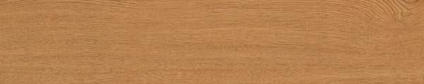 Solar Oak