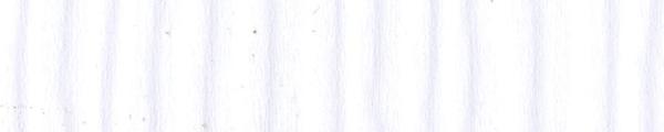 White Fence