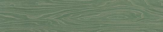 Formica 9228 Green Birchply Edgebanding Match