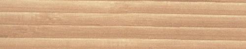Bamboo Begin